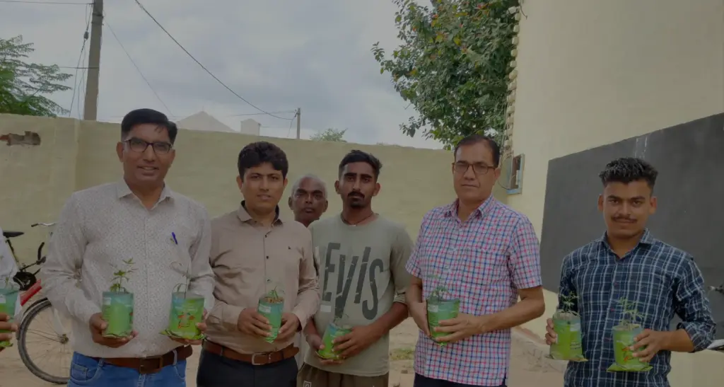 Wir pflanzen einen Baum für jede Bestellung 🌱